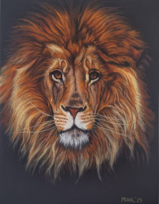 2025 Ausstellung - Auf Augenhöhe